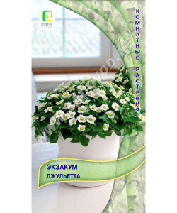 Экзакум Джульетта Экзакум Джульетта