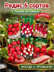 Наборы овощей "Редис"