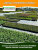 Примула Юлии, случайный цвет