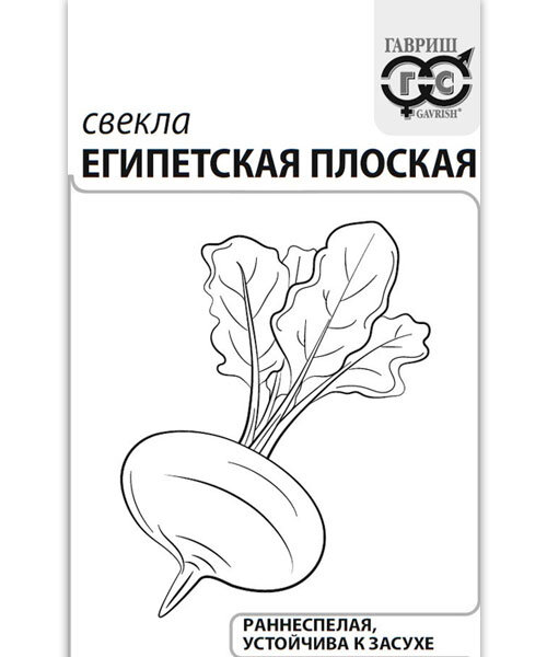 Свекла Египетская Плоская семена 