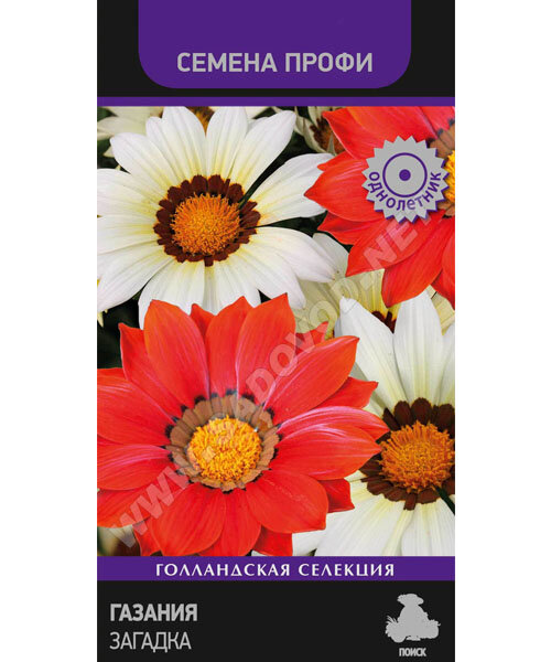 Газания Загадка (Профи) семена