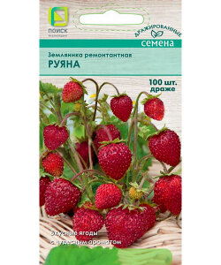 Земляника Руяна драже (ремонтантная)