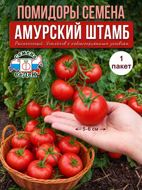 Томат Амурский штамб семена 