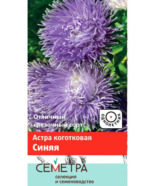 Астра коготковая Синяя семена