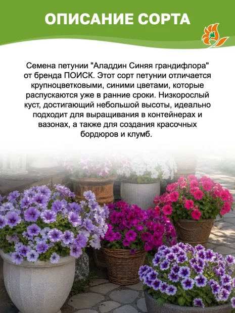 Петуния грандифлора Аладдин Синяя (ПРОФИ) семена