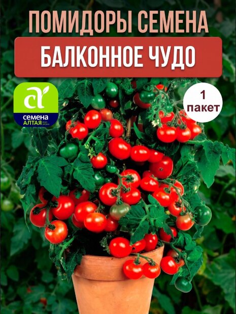 Томат Балконное Чудо семена 