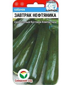 Кабачок Завтрак нефтяника (цуккини) Кабачок Завтрак нефтяника (цуккини)