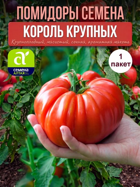 Томат Король Крупных семена 